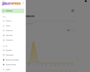 Selly Africa Dashboard